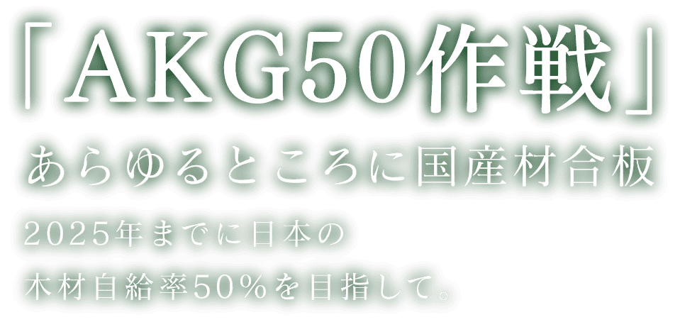 「AKG50作戦」あらゆるところに国産材合板